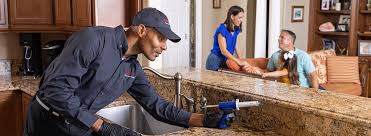 Best Termite Inspection and Treatment  in Verona, WI